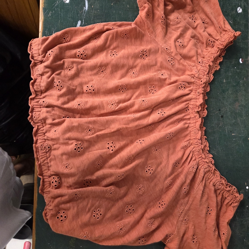 American Eagle Outfitters Orange Crop Top with Smocked Ruffled Short Sleeves